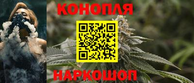 сатива Пенза