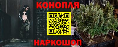 сатива Пенза