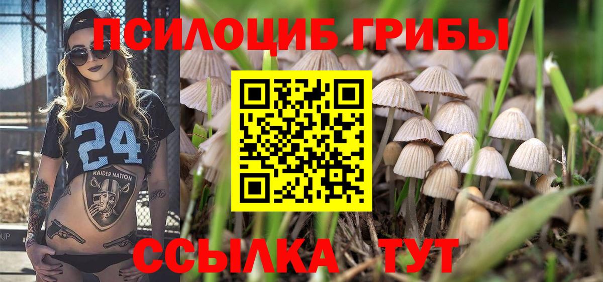 Галлюциногенные грибы прущие грибы Сальск