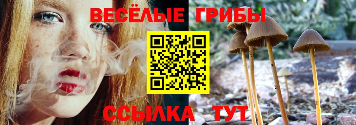 магазин продажи наркотиков  Псилоцибиновые грибы Cubensis  Галлюциногенные грибы MAGIC MUSHROOMS  Вход с VPN  Сальск 