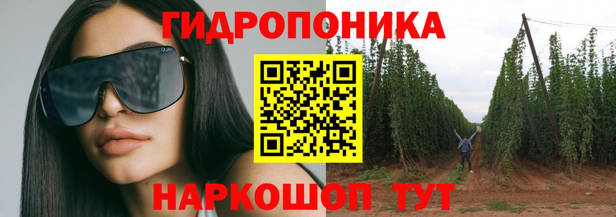Каннабис OG Kush  Канабис гибрид  Шишки марихуана гибрид  Сальск  Вход с VPN  Конопля LSD WEED 